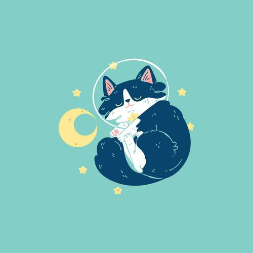 Orion the Cat - Space Time 8x8 Giclee Print